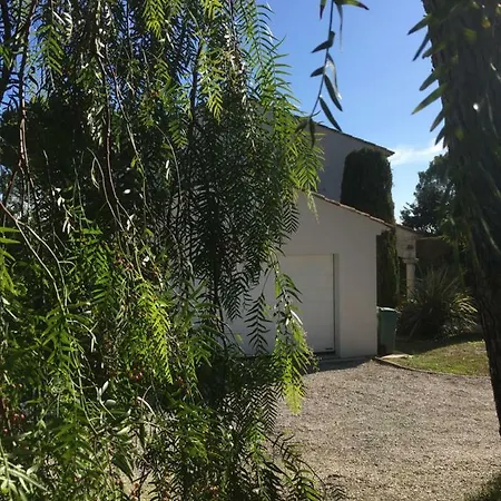 فيلة D'architecte *